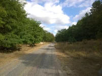 WP_20231006_003.jpg