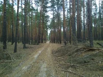 WP_20231006_004.jpg