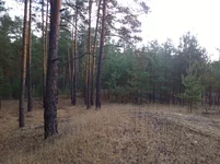 WP_20231006_012.jpg
