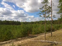 WP_20231006_016.jpg