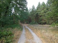 WP_20231006_022.jpg