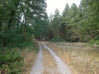 WP_20231006_022.jpg