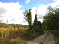 WP_20231006_026.jpg