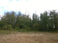 WP_20231006_031.jpg