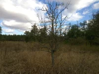 WP_20231006_032.jpg