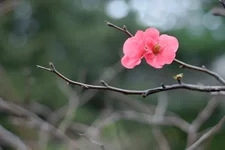 _DSC8594a1_resize.webp