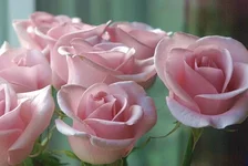 0_af1ba_84c0d0f0_L.webp