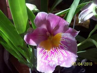 100_2851.webp