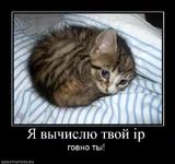 534682_ya-vyichislyu-tvoj-ip.webp