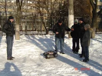 DSC03190.webp