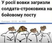 Screenshot_20231012-154329_Instagram.jpg