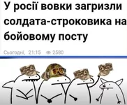 Screenshot_20231012-154329_Instagram.webp