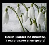 5c72d141fd48e613a29b5c210f498924.jpg