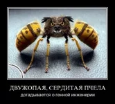 023934d938f2f281f1392434f4bffe0b.jpg