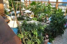 DSC_0016.webp