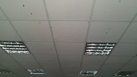 m5C1ujcFjM4.webp