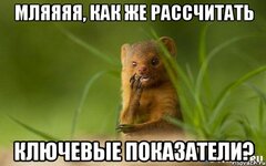 mZDNM.jpg