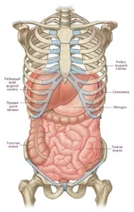 a23ce15a6c39b960399d3693df13dcdf.jpg