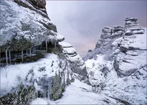 DSC42708_.webp