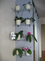 2010 594.webp