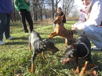  АРТЕМА 028.webp