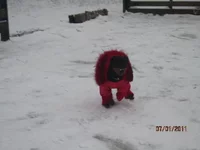  прогулка 002.webp