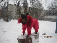  прогулка 019.webp