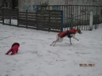  прогулка 006.webp