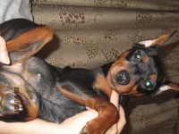  прогулка 052.webp