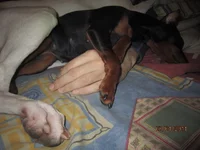  прогулка 011.webp