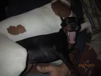  прогулка 001.webp