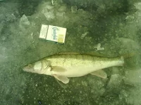 29012011215.webp