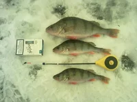 12012011200.webp