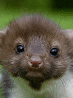 b9d47dfa7d32cff191914285a43bbad3.gif