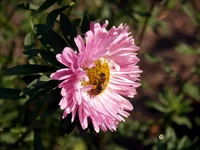 8257134.webp