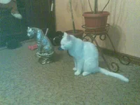 01102010(001).webp