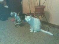 01102010.webp