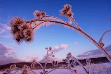 IMGP2266 уменьш.webp