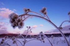 IMGP2264 уменьш.webp
