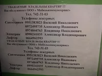 IMAG0131.webp