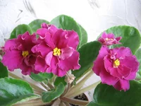 -День победы_9599.webp