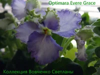 IMG_6015 [1600x1200].webp