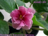 IMG_6036 [1600x1200].webp