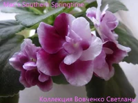 IMG_6034 [1600x1200].webp