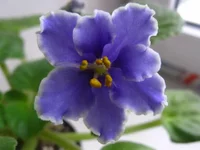 IMG_6039 [1600x1200].webp