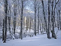 DSC42873.webp