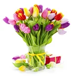 tulipan-vazaban.jpg
