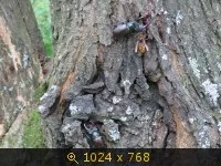 2861506.webp