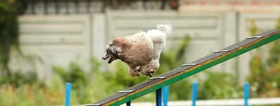 IMG_8299.jpg