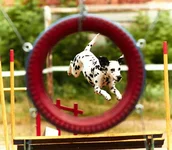 IMG_8378+1.jpg